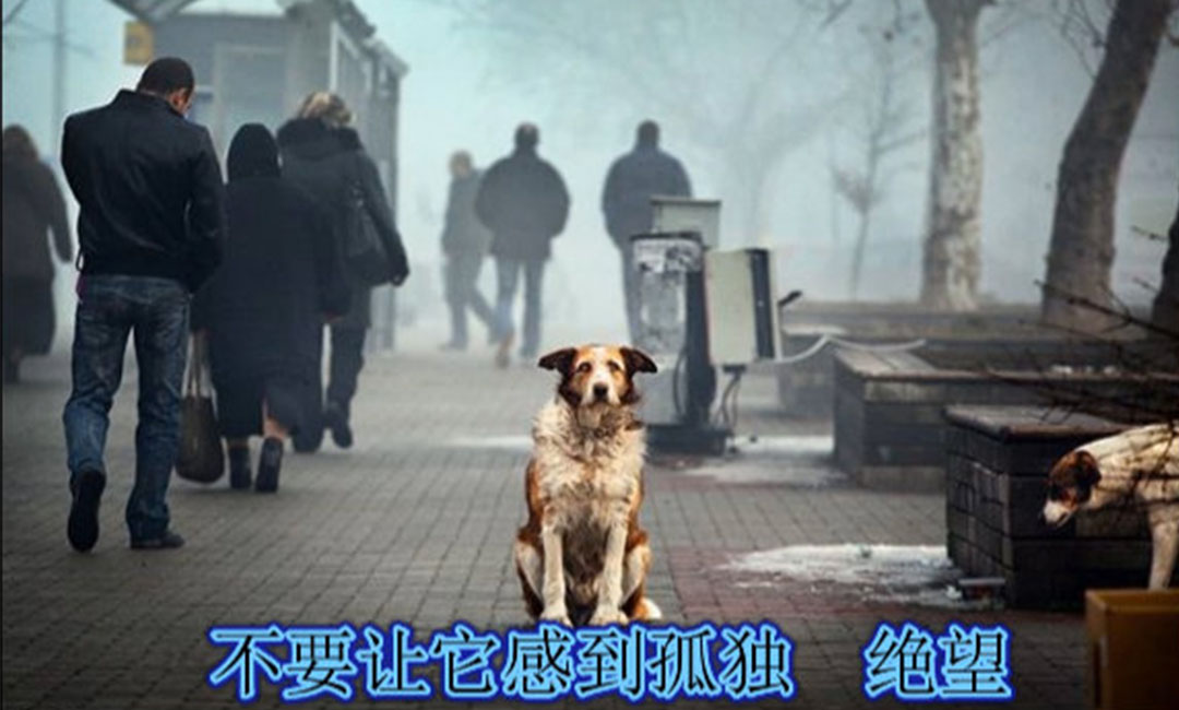 商洛商洛爱影圈微博微信转发案例